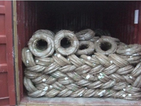 Hot Dipped Galvanized Iron Wire Used for Bulding