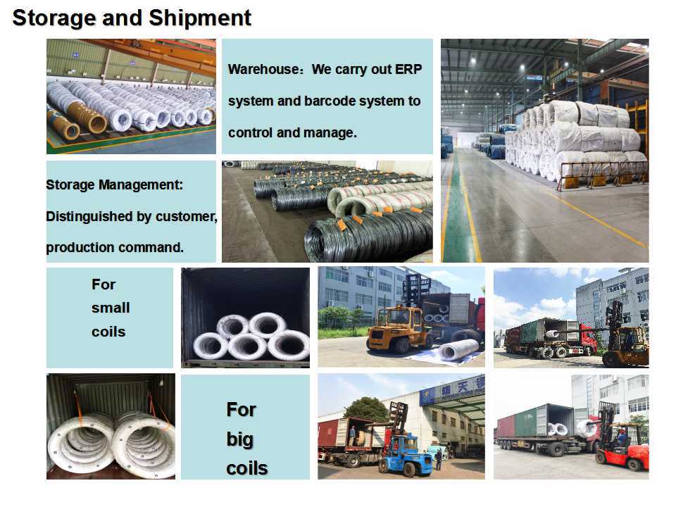 SAE1008 Cold Heading Drawn Wire Rod Phosphate Rivets Nuts Used Spheroidized Annealed Steel Wire