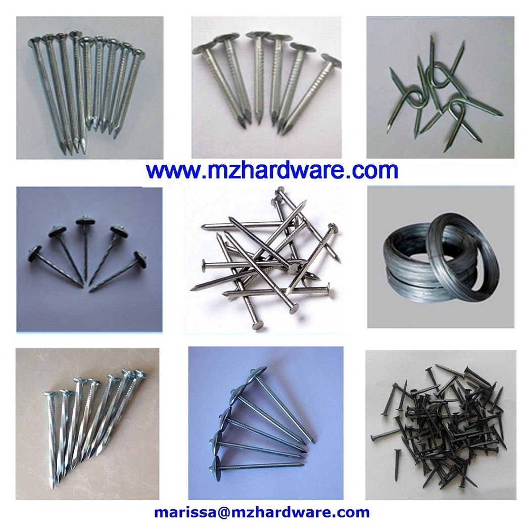 Electro Galvanized Binding Iron Wire