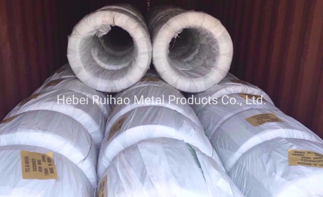 High Quality Galvanized Iron Wire Binding Wire for Construction Best Price in China