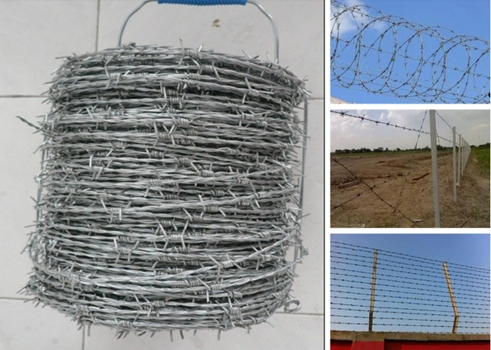 2.0mm * 2.0mm PVC/Plastic Coated Galvanized Barbed Wire