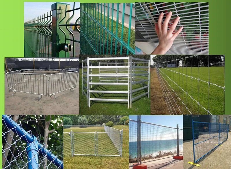 Ornamental Double Loop Wire Garden Fence /Double Wire Mesh Fence