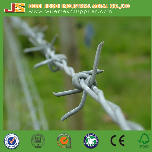 12*14 Twisted Wire High Tensile Wire Barbed Wire