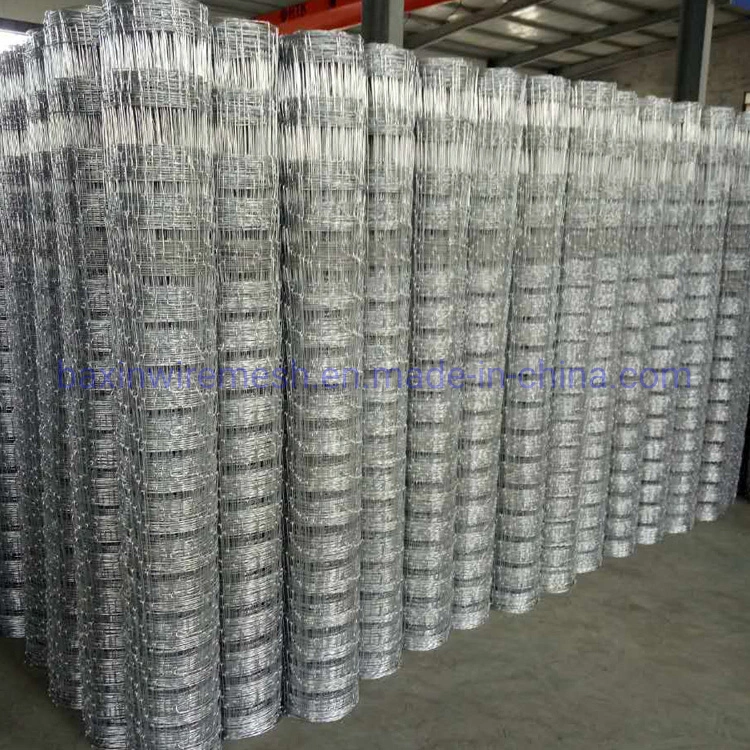 Hot Dipped Galvanized Wire Mesh Fixed Knot Fence /Field Fence