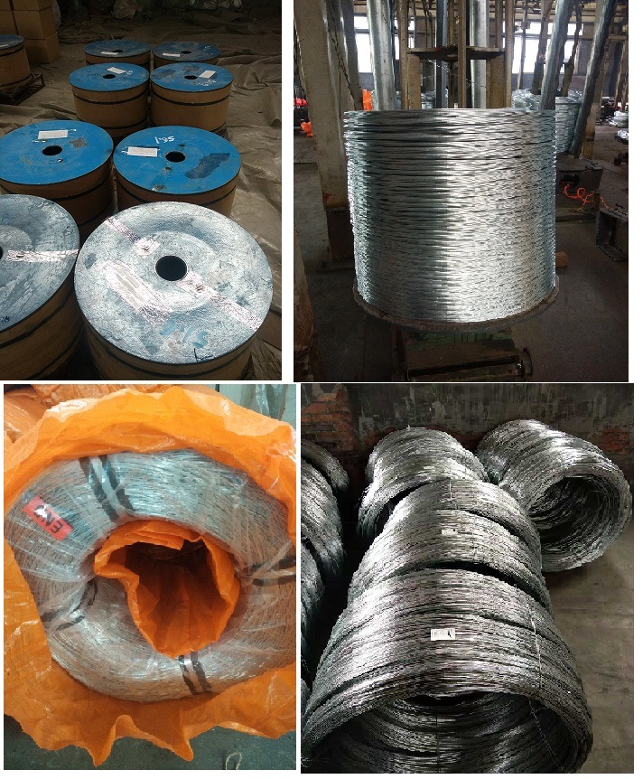 Factory Price 4.77mm Galvanized Steel Wire Strand/Stay Wire/Guy Wire for ACSR