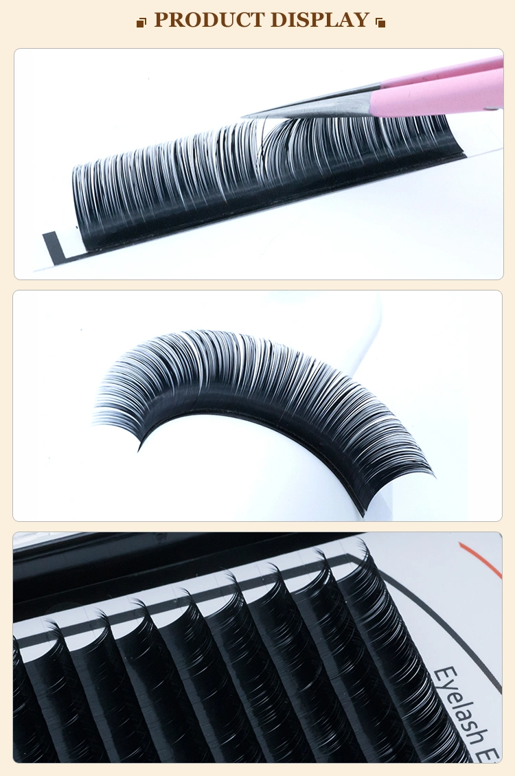 Factory Price Black Berry Korean Matt Black Eyelash Extensions Soft Lashes Ellipse Lashes False Lashes