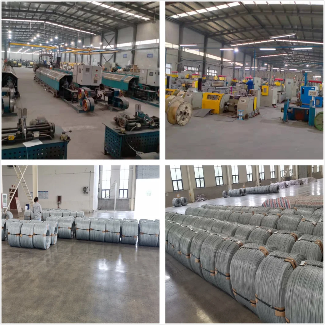 3mm Diameter Flexible Stainless Steel Wire Rope Steel Cable