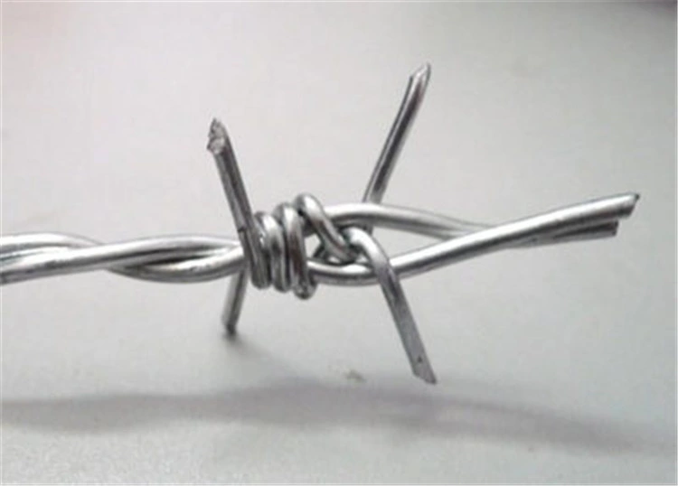 12 * 14 Bwg Galvanized Barbed Wire for Agricultural Fencing