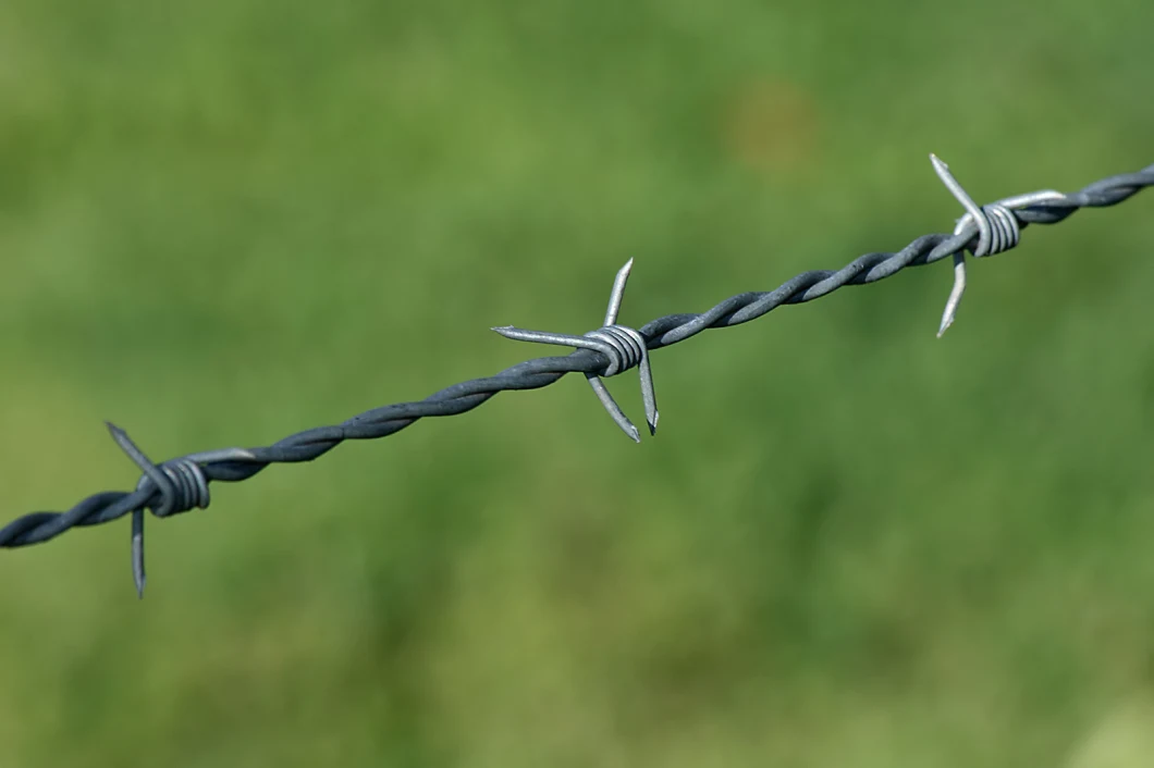 Reverse Twist Barbed Wire 2.0 mm Hot DIP Galvanized Barbed Iron Wire