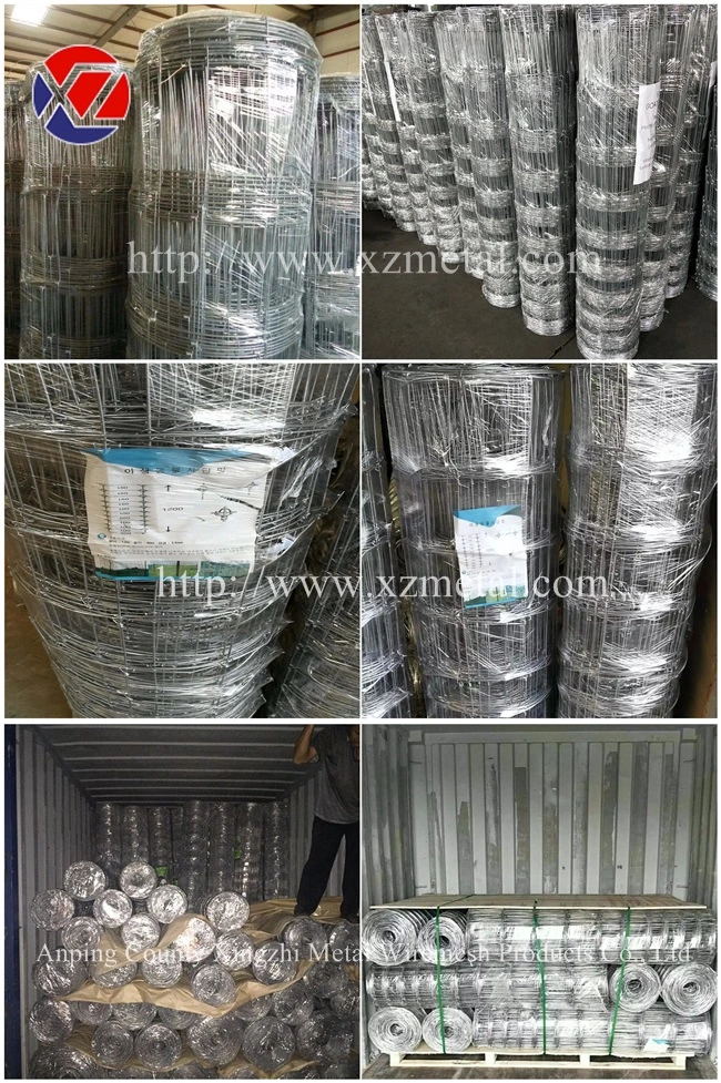 2.5mm Heavily Galvanized Farm Fence Netting/Sheep Wire Fence