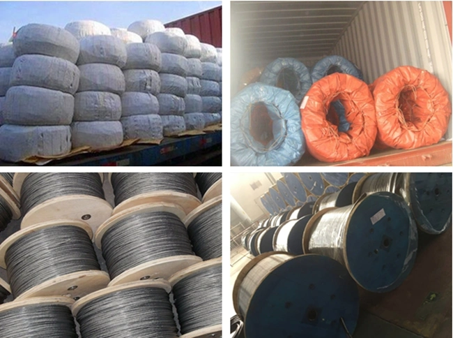 Galvanized Steel Wire/Steel Wire/Binding Wire