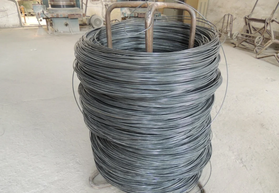 70# 82b 72A Steel Galvanized Wire High Carbon Spring Steel Wire 2.0mm, 2.5mm, 3.0mm