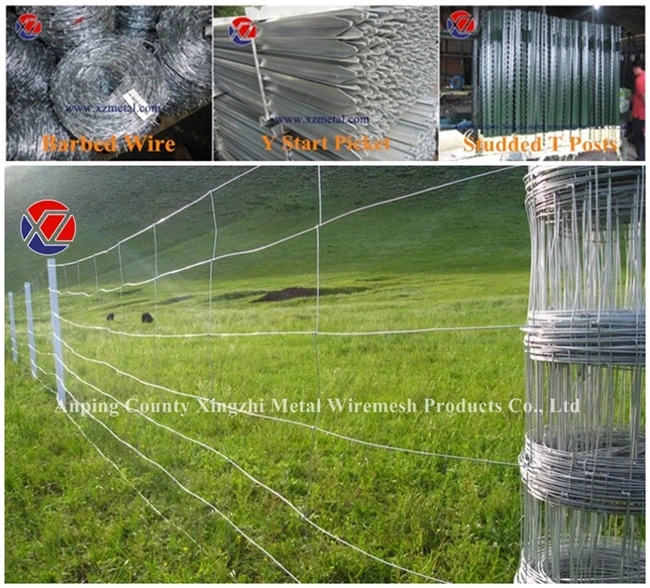 High Tensile Steel Fixed Knot Deer Farm Fencing with Low Price