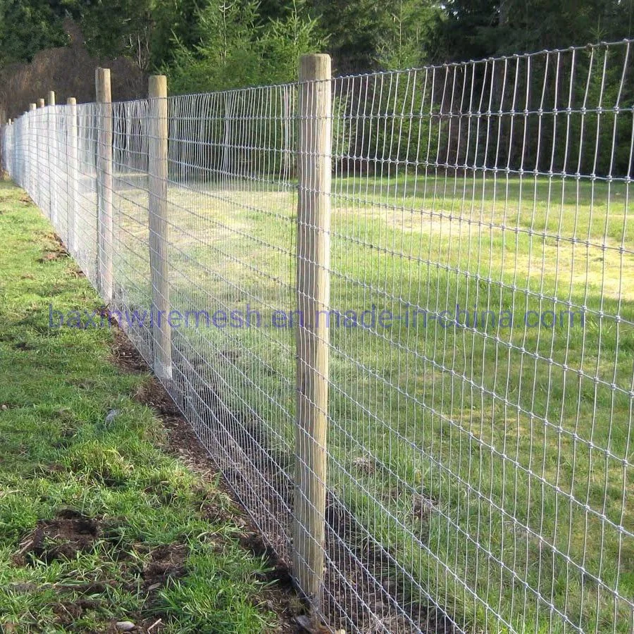 Hot Dipped Galvanized Wire Mesh Fixed Knot Fence /Field Fence