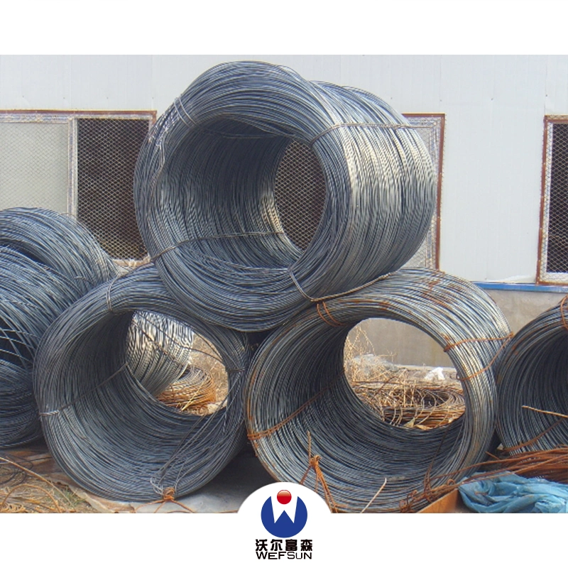 Hot Dipped Galvanized Iron Wire