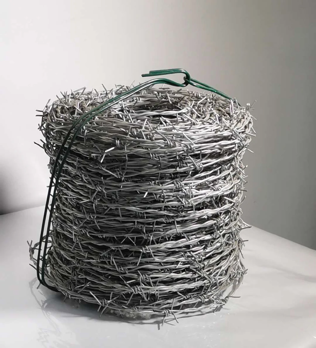 Hot Dipped Galvanized/Electro Galvanized Barbed Wire for Security Fence