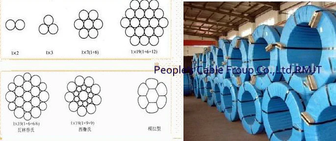 Hot DIP Galvanized Steel Wire /Guy Wire