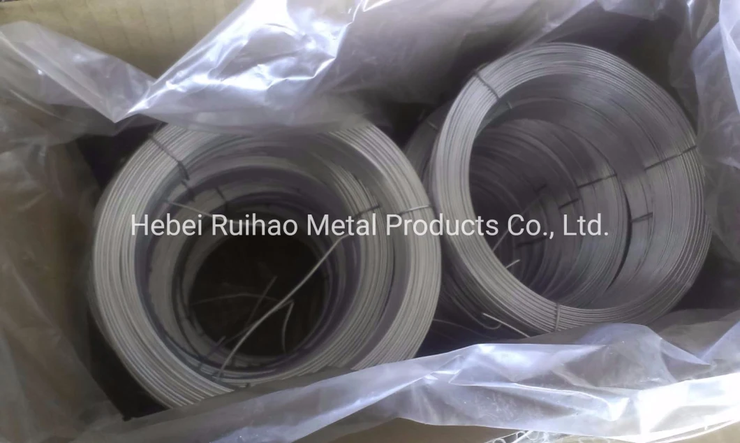 High Quality Galvanized Iron Wire Binding Wire for Construction Best Price in China