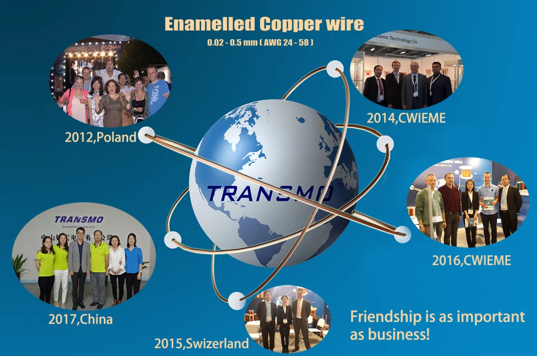 Magnet Wire Winding Wire Enameled Copper Wire for Voice Coil, 32AWG 0.20mm, Thermal Class 155.