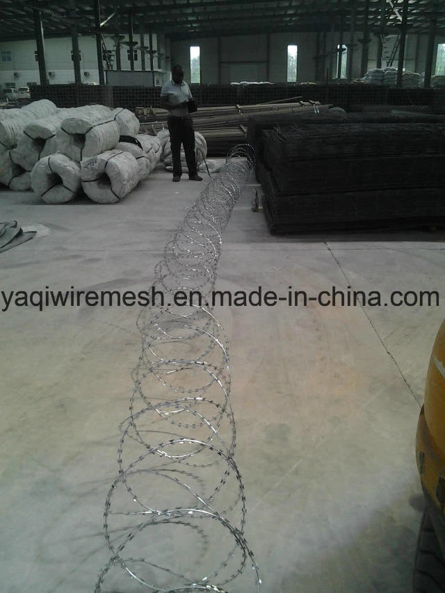 Bto-22 Hot DIP Galvanized Razor Barbed Wire Fence with 2.5mm Core Wire High Tensile