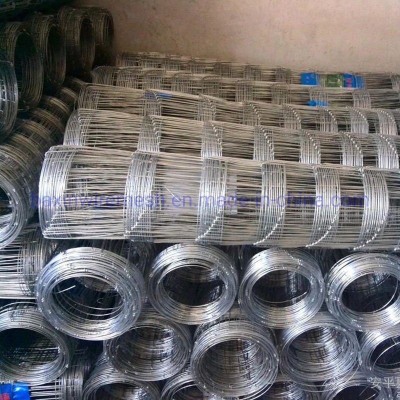 Hot Dipped Galvanized Wire Mesh Fixed Knot Fence /Field Fence