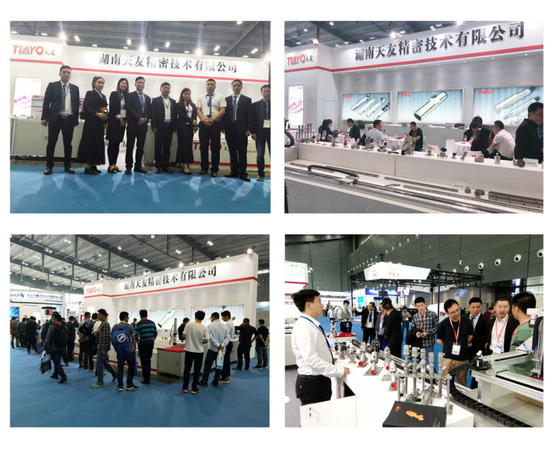 Industrial Automated Tmh17 Linear Guideway Actuator for IC Printing