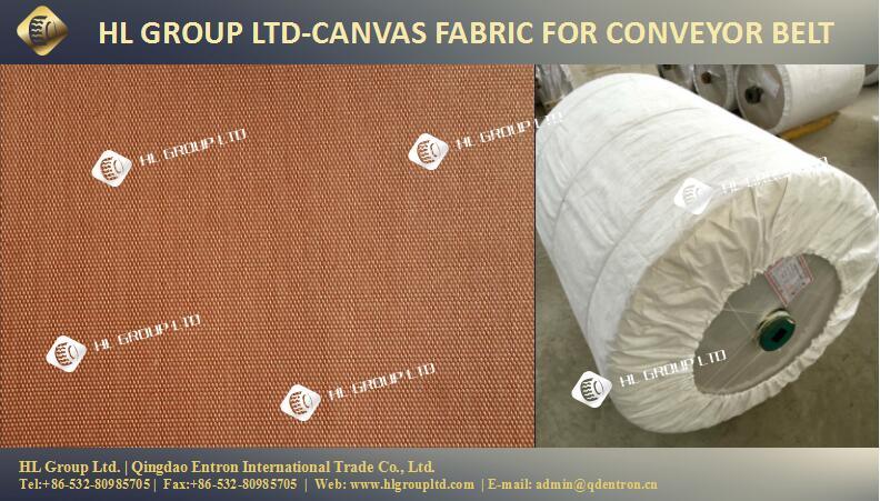 Nn80 Nn100 Nn125 Nn150 Nn200 Fabric for Conveyor Belts