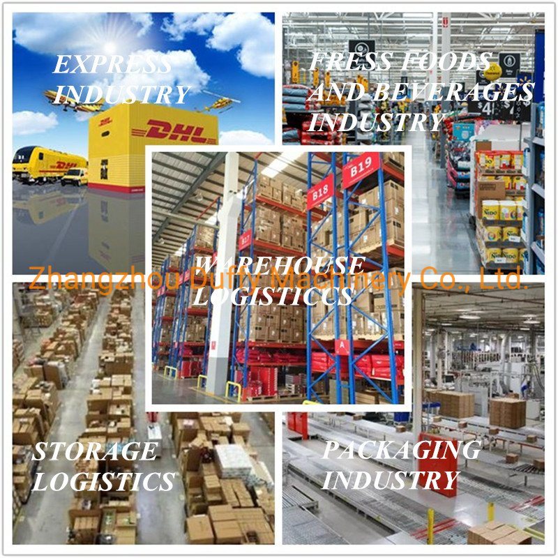 Fixed Steel Roller Chain Airport Conveyor for Baggage Conveying