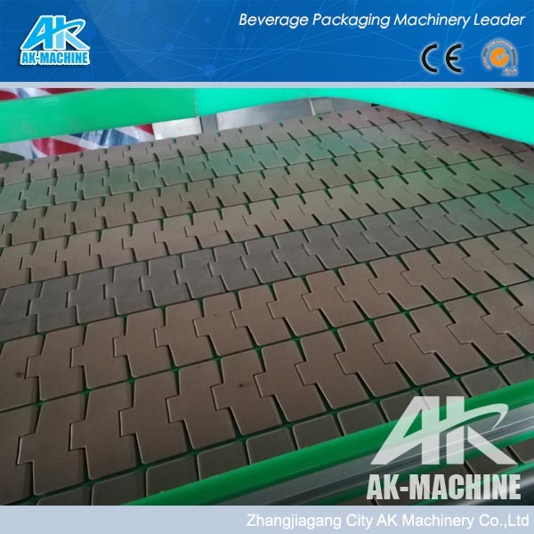 Plastic Belt Conveyor Transporter Conveying System Conveyor Roller with Lubrication System