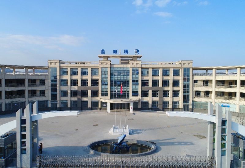 Wear Resistance Conveyor Roller/Idler/Conveyors/Conveyor System/Roller Conveyor/Roller/UHMWPE Roller/Steel Roller