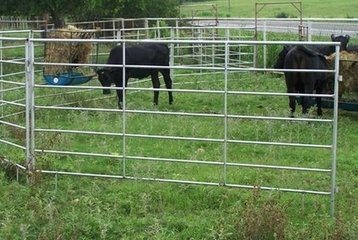 Cattle Fence Post Galvanized Cheap Cattle Panels