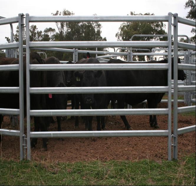 Ranch Outdoor 6rails Sheep Corral Fence Cattle Panel for Sale