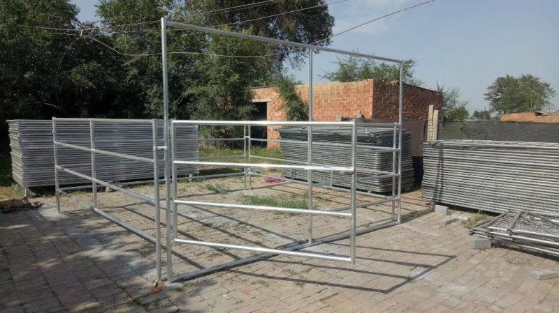 Horse Fence Panel/Sheep Fence Panel/Cattle Fence