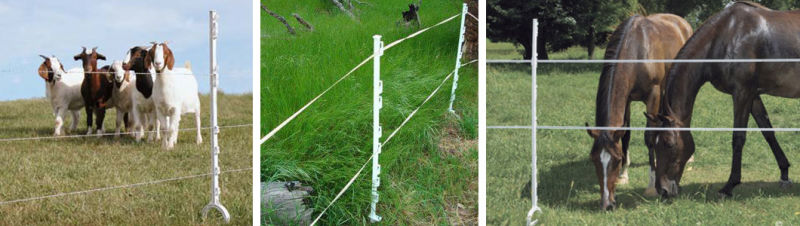 Fiberglass Post Animal Fence Electric Fence Post for Specification Custom