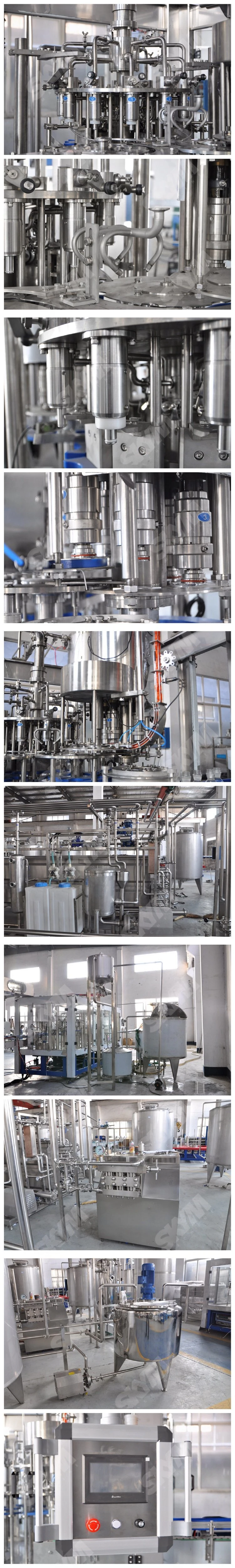 Fruit Juice Filling Packing Machine / Juice Filling Machine/Juice Making Machine