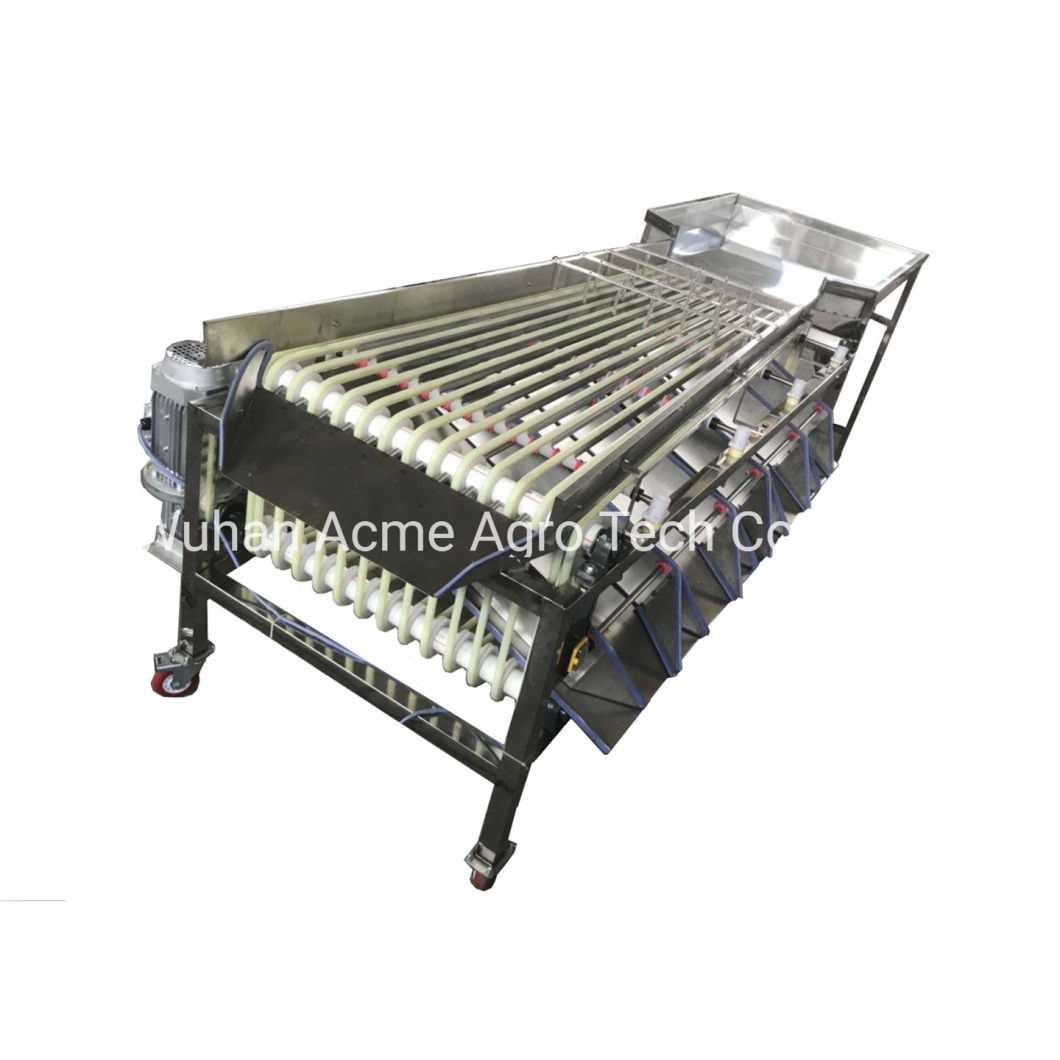 Tomato Grader Potato Grader Walnut Grading Machine