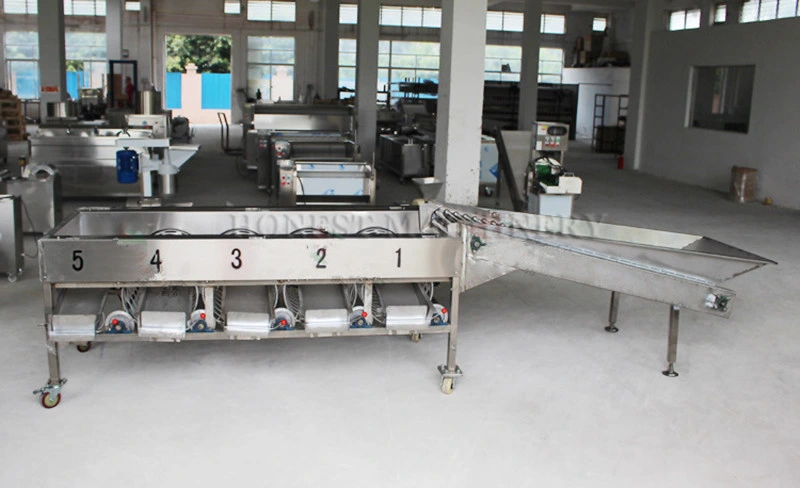 High Quality Competitive Fruit and Vegetable Sorter Grader