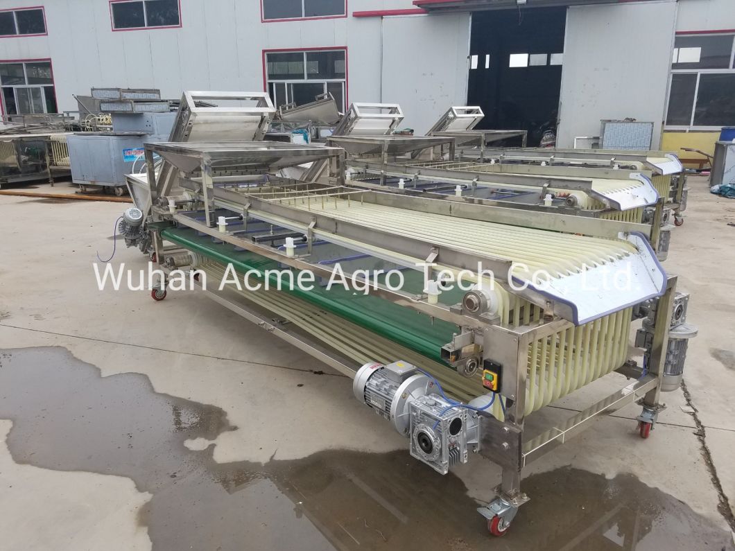 Tomato Grader Potato Grader Walnut Grading Machine