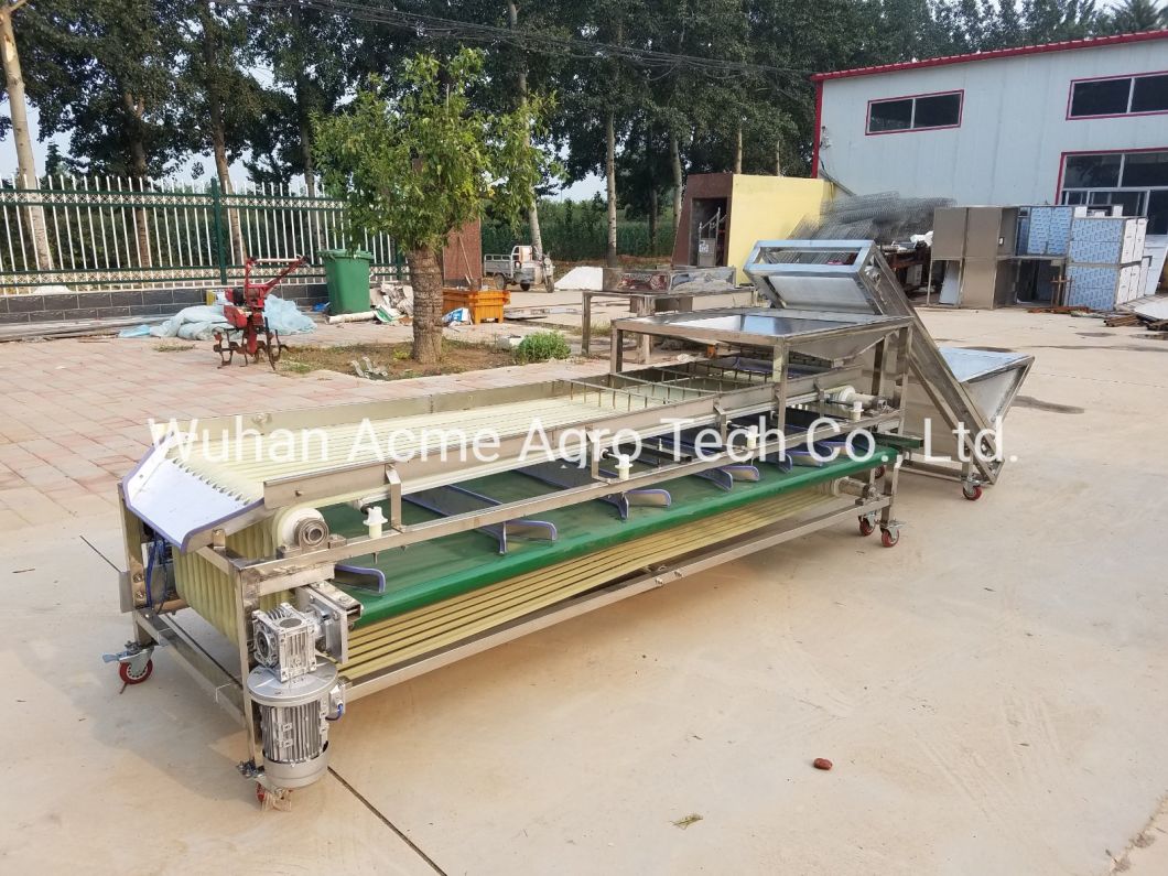 Tomato Grader Potato Grader Walnut Grading Machine