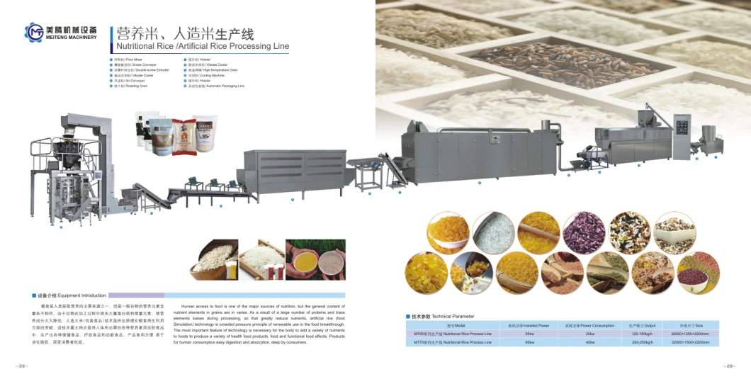 Long-Established Nutritional Puffed Rice Product Plant/Machine/Equipment/Line Good Price Making Line