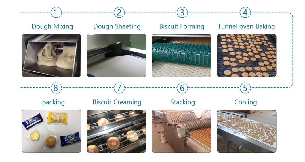 Skywin Advance Soft Biscuit Making Machinery Price Cracker Manufacturing Plant Machine for Making Cookie