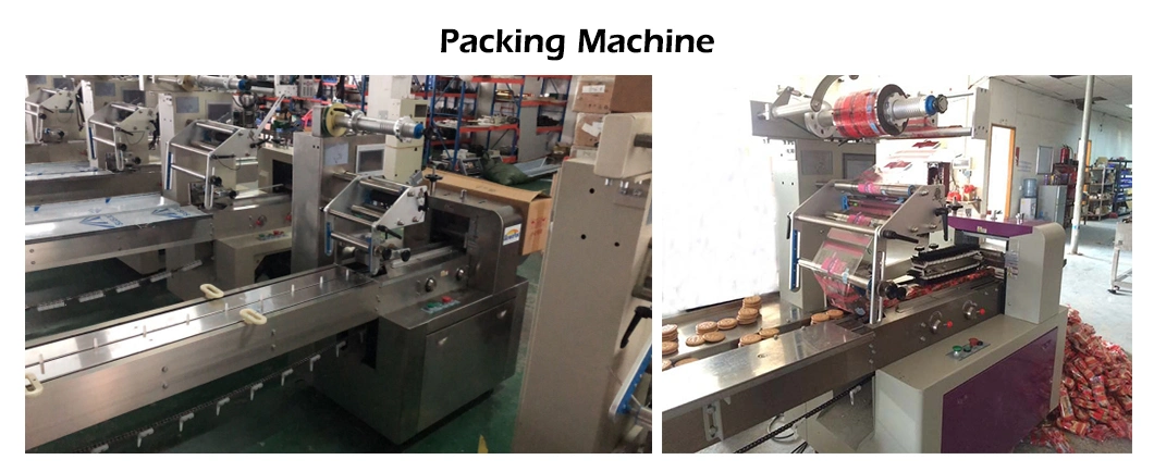 Skywin Advance Soft Biscuit Making Machinery Price Cracker Manufacturing Plant Machine for Making Cookie