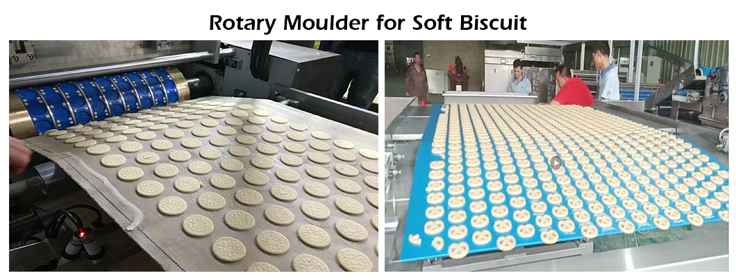 Skywin Advance Soft Biscuit Making Machinery Price Cracker Manufacturing Plant Machine for Making Cookie