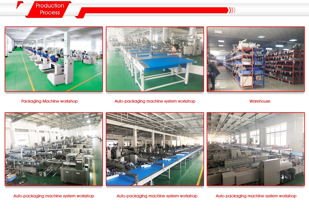 Mini Automatic Sandwiching Cookie Wafer Packing Line Small Biscuit Making Machine with Packing Machine Price Industry