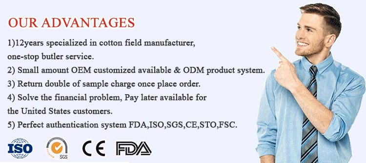 Wooden Stick MSDS Cotton Swab Hotel Mini Cotton Buds