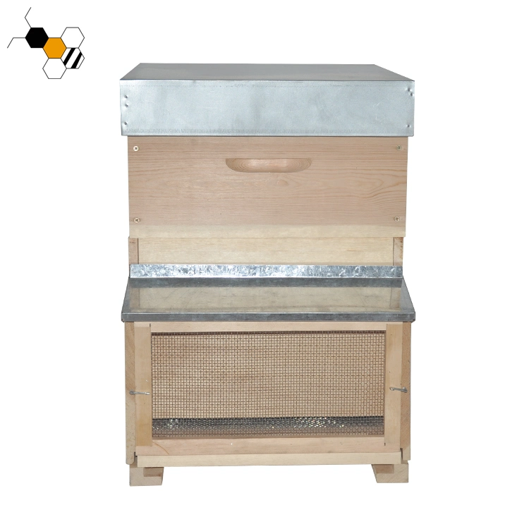 New Beekeeping Machine Italy Beehives Wooden Honey Beehive for Bees