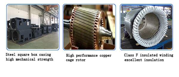 Large Coal Mill Special Three-Phase Asynchronous High-Voltage Motor