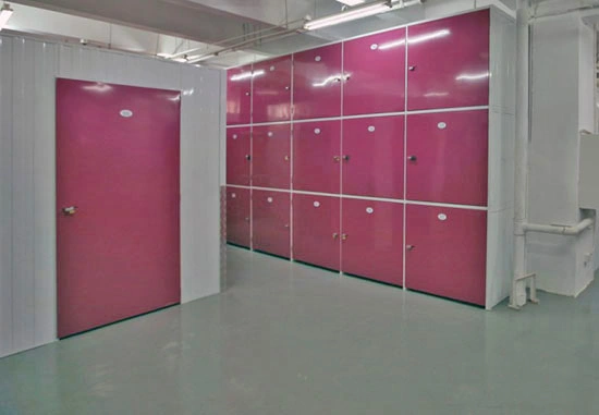 Self Storage Doors and Wall Partitions for Storage Buildings (CHAM-HD100)