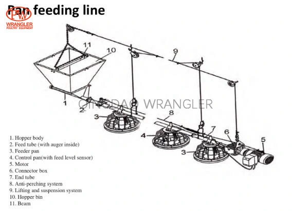 Prefab Steel Structure Space Frame Poultry Shed Cow Shed Farm Building