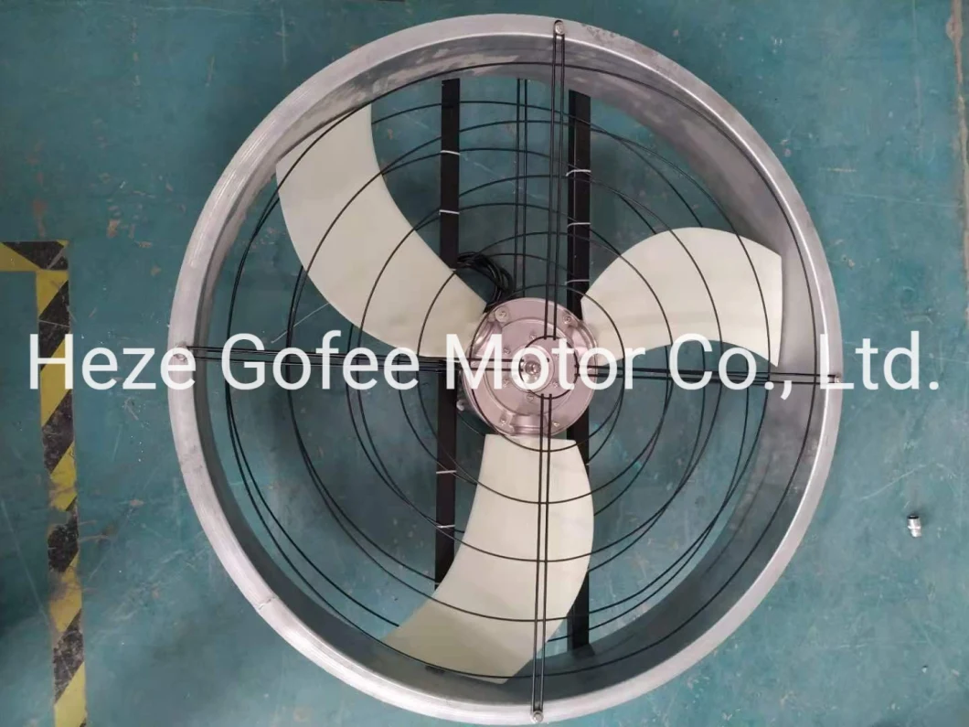 High Air Capacity Circulation Fans for Poultry  House and Dairy Shed